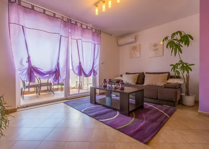 Andjelic - Marko 1 *